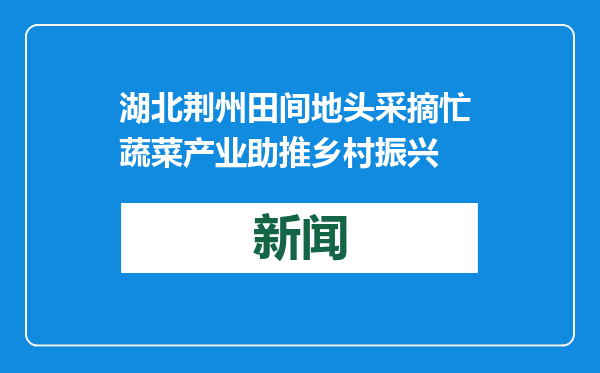 湖北荆州田间地头采摘忙 蔬菜产业助推乡村振兴