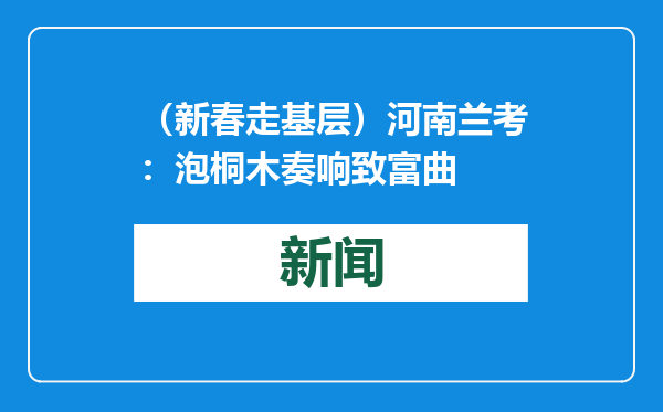 （新春走基层）河南兰考：泡桐木奏响致富曲