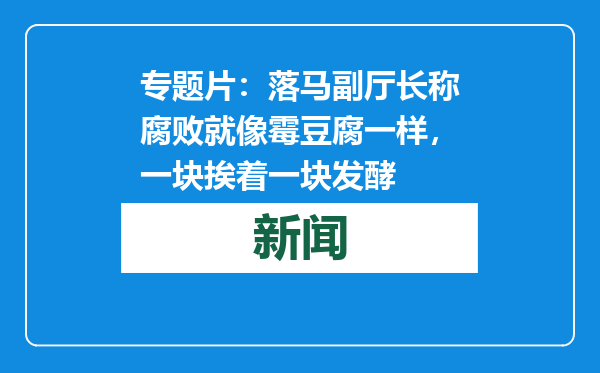 专题片：落马副厅长称腐败就像霉豆腐一样，一块挨着一块发酵
