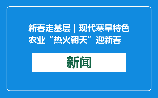 新春走基层｜现代寒旱特色农业“热火朝天”迎新春