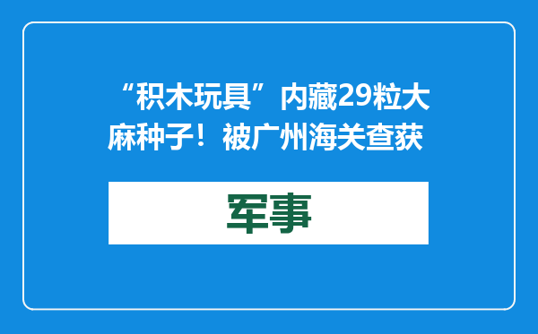 “积木玩具”内藏29粒大麻种子！被广州海关查获