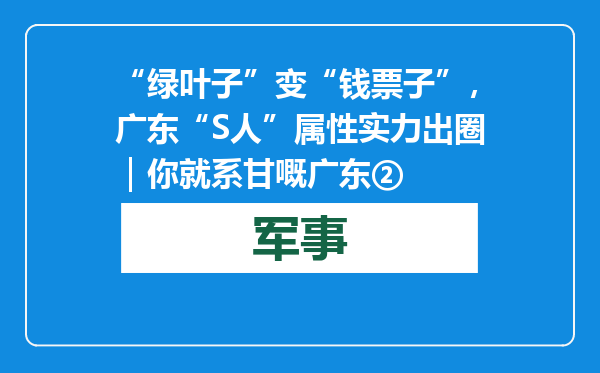 “绿叶子”变“钱票子”，广东“S人”属性实力出圈｜你就系甘嘅广东②