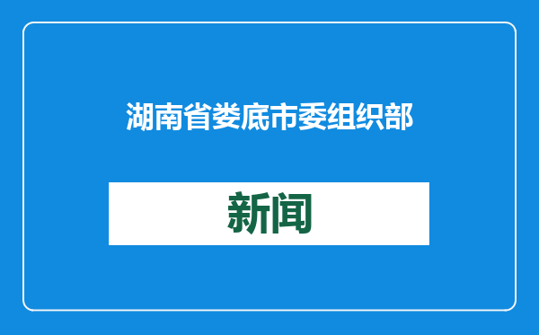 湖南省娄底市委组织部副部长李劲松接受审查调查