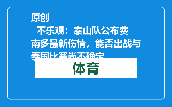 原创            不乐观：泰山队公布费南多最新伤情，能否出战与泰国比赛尚不确定