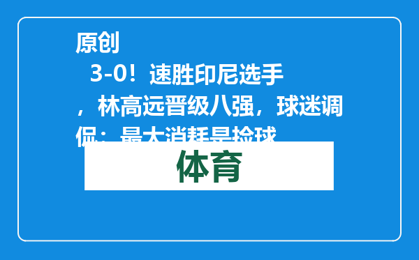 原创            3-0！速胜印尼选手，林高远晋级八强，球迷调侃：最大消耗是捡球