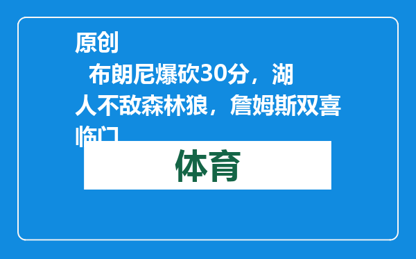 原创            布朗尼爆砍30分，湖人不敌森林狼，詹姆斯双喜临门