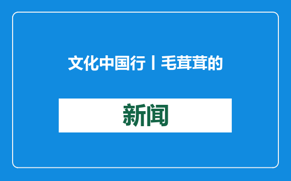 文化中国行丨毛茸茸的大熊猫竟然是花灯！联播一瞬带你看自贡灯会