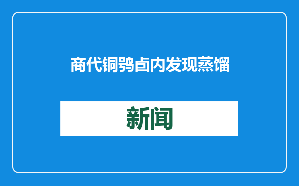 商代铜鸮卣内发现蒸馏酒与铭文 济南大辛庄遗址考古研究获得重大成果