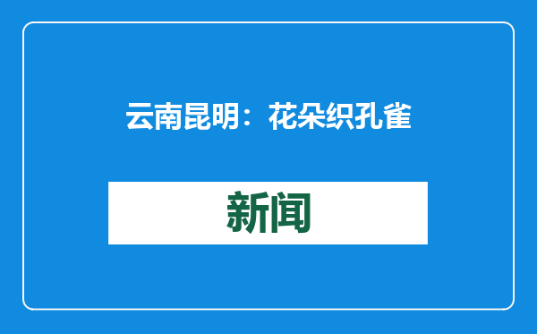 云南昆明：花朵织孔雀 扮靓春运路