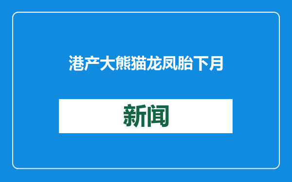 港产大熊猫龙凤胎下月与公众见面！李家超称希望举办命名活动