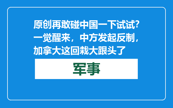 原创            再敢碰中国一下试试？一觉醒来，中方发起反制，加拿大这回栽大跟头了
