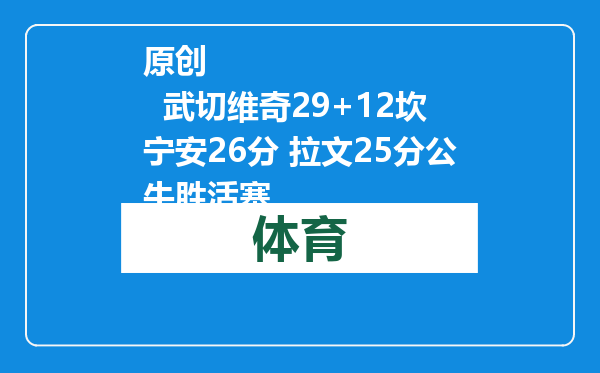 原创            武切维奇29+12坎宁安26分 拉文25分公牛胜活塞