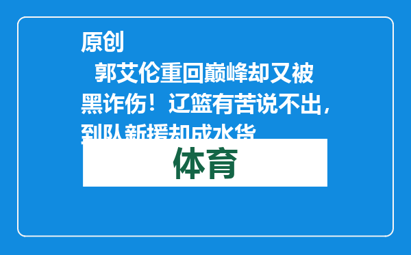 原创            郭艾伦重回巅峰却又被黑诈伤！辽篮有苦说不出，到队新援却成水货