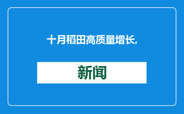 十月稻田高质量增长,业绩超预期显现长线价值