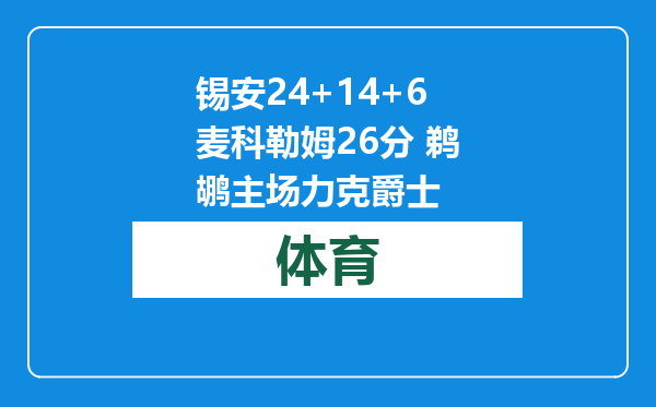 锡安24+14+6麦科勒姆26分 鹈鹕主场力克爵士