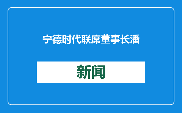 宁德时代联席董事长潘健：今年有望公布新的欧洲合资工厂项目