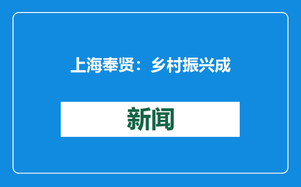 上海奉贤：乡村振兴成效逐步显现，去年涉农投资同比增超九成