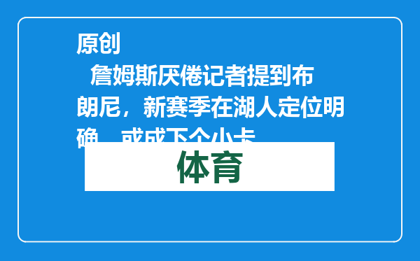 原创            詹姆斯厌倦记者提到布朗尼，新赛季在湖人定位明确，或成下个小卡