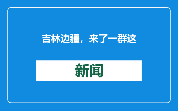 吉林边疆，来了一群这样的年轻人