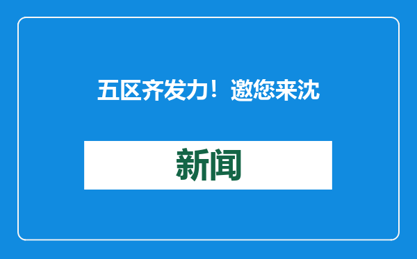 五区齐发力！邀您来沈迎新春