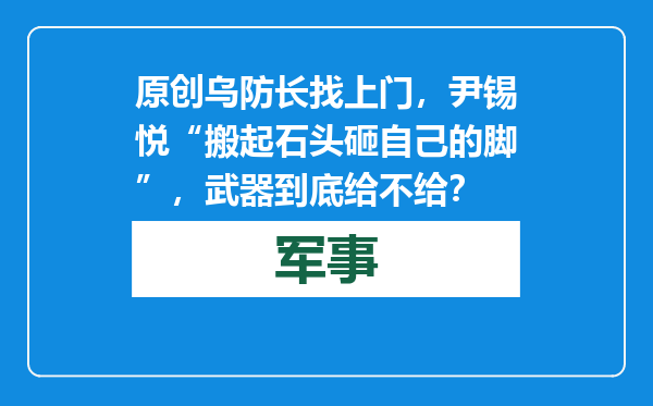 原创            乌防长找上门，尹锡悦“搬起石头砸自己的脚”，武器到底给不给？