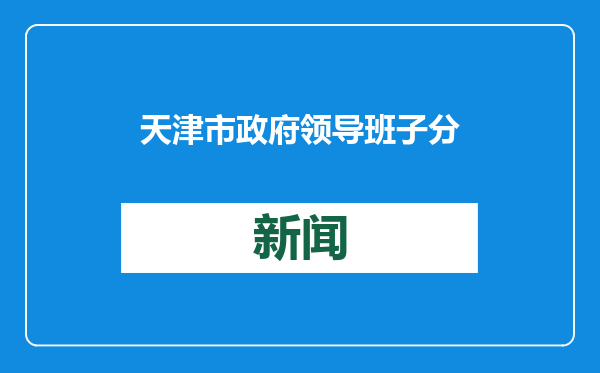 天津市政府领导班子分工公布