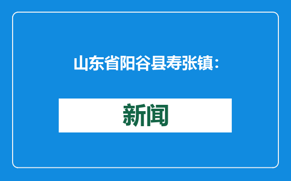 山东省阳谷县寿张镇：深化“放管服”改革 提升服务能力
