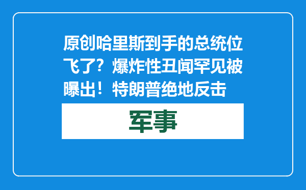 原创            哈里斯到手的总统位飞了？爆炸性丑闻罕见被曝出！特朗普绝地反击