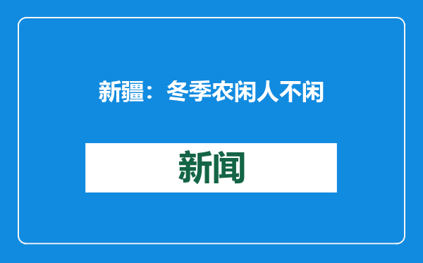 新疆：冬季农闲人不闲 技能培训来“充电”