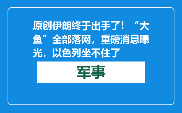 原创            伊朗终于出手了！“大鱼”全部落网，重磅消息曝光，以色列坐不住了