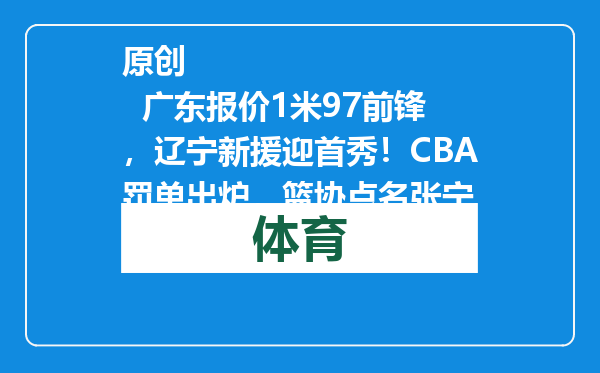 原创            广东报价1米97前锋，辽宁新援迎首秀！CBA罚单出炉，篮协点名张宁