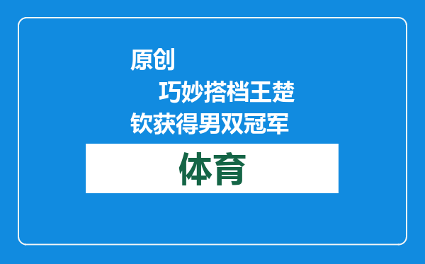 原创            巧妙搭档王楚钦获得男双冠军