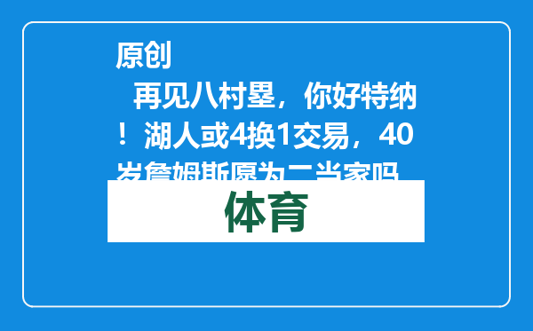 原创            再见八村塁，你好特纳！湖人或4换1交易，40岁詹姆斯愿为二当家吗