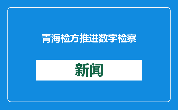 青海检方推进数字检察战略 挽回经济损失1200余万元