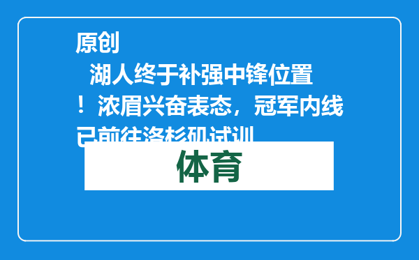原创            湖人终于补强中锋位置！浓眉兴奋表态，冠军内线已前往洛杉矶试训