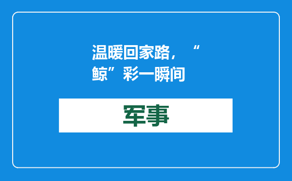 温暖回家路，“鲸”彩一瞬间