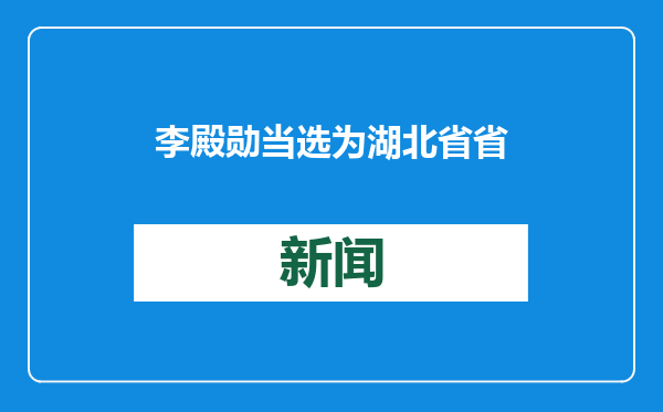 李殿勋当选为湖北省省长