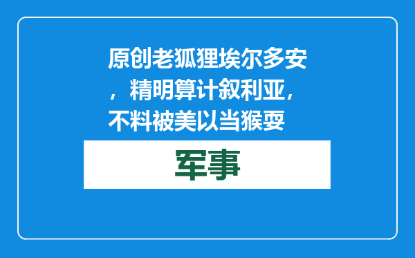 原创            老狐狸埃尔多安，精明算计叙利亚，不料被美以当猴耍