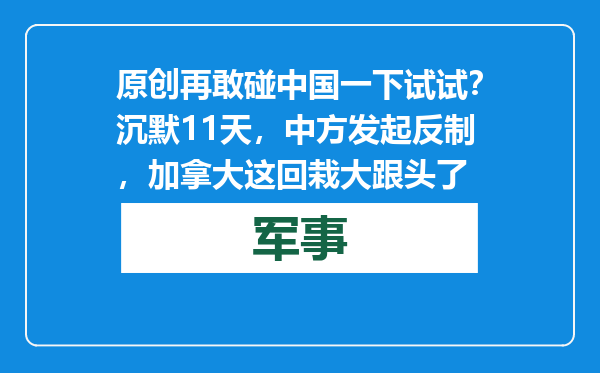 原创            再敢碰中国一下试试？沉默11天，中方发起反制，加拿大这回栽大跟头了