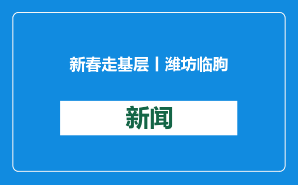 新春走基层丨潍坊临朐：年货大集年味足“烟火气”里迎新年