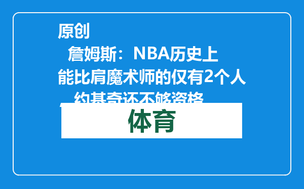 原创            詹姆斯：NBA历史上能比肩魔术师的仅有2个人，约基奇还不够资格