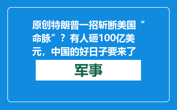 原创            特朗普一招斩断美国“命脉”？有人砸100亿美元，中国的好日子要来了