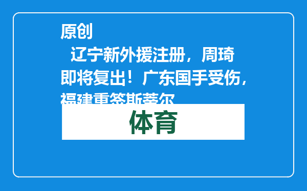 原创            辽宁新外援注册，周琦即将复出！广东国手受伤，福建重签斯蒂尔