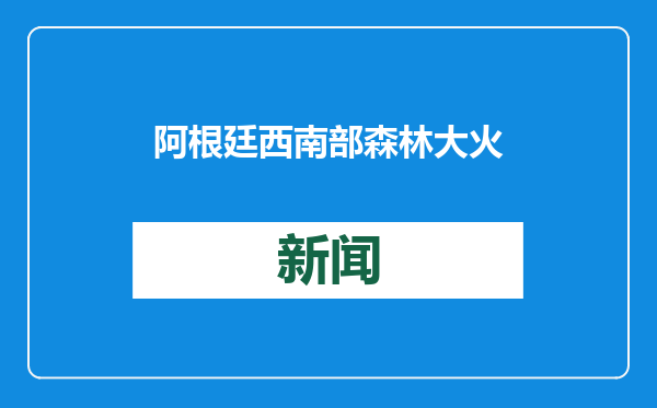 阿根廷西南部森林大火过火面积超3000公顷