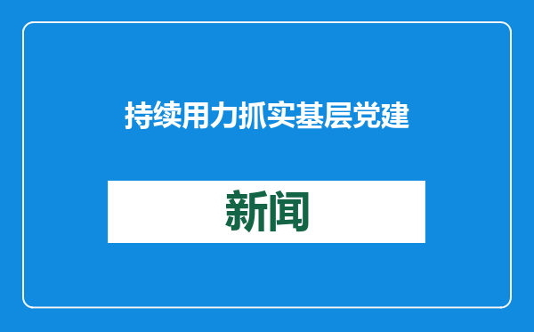 持续用力抓实基层党建工作