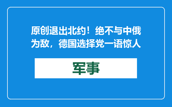 原创            退出北约！绝不与中俄为敌，德国选择党一语惊人