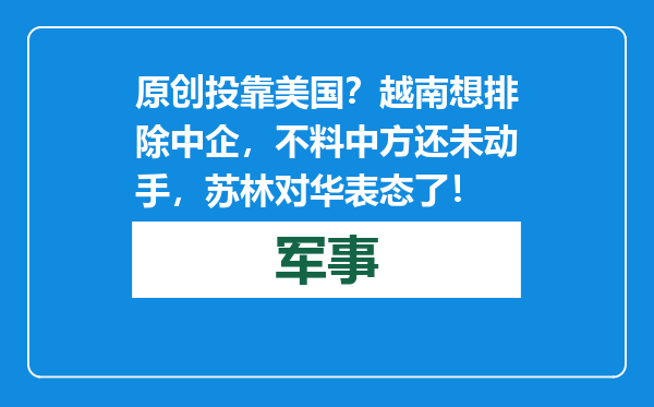 原创            投靠美国？越南想排除中企，不料中方还未动手，苏林对华表态了！