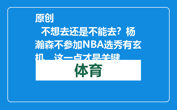 原创            不想去还是不能去？杨瀚森不参加NBA选秀有玄机，这一点才是关键