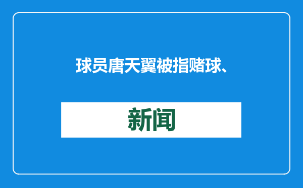 球员唐天翼被指赌球、出轨等 广州豹足球队：启动核查，绝不姑息