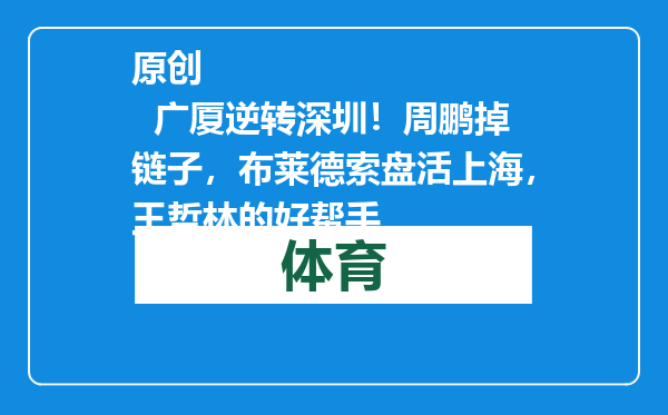 原创            广厦逆转深圳！周鹏掉链子，布莱德索盘活上海，王哲林的好帮手